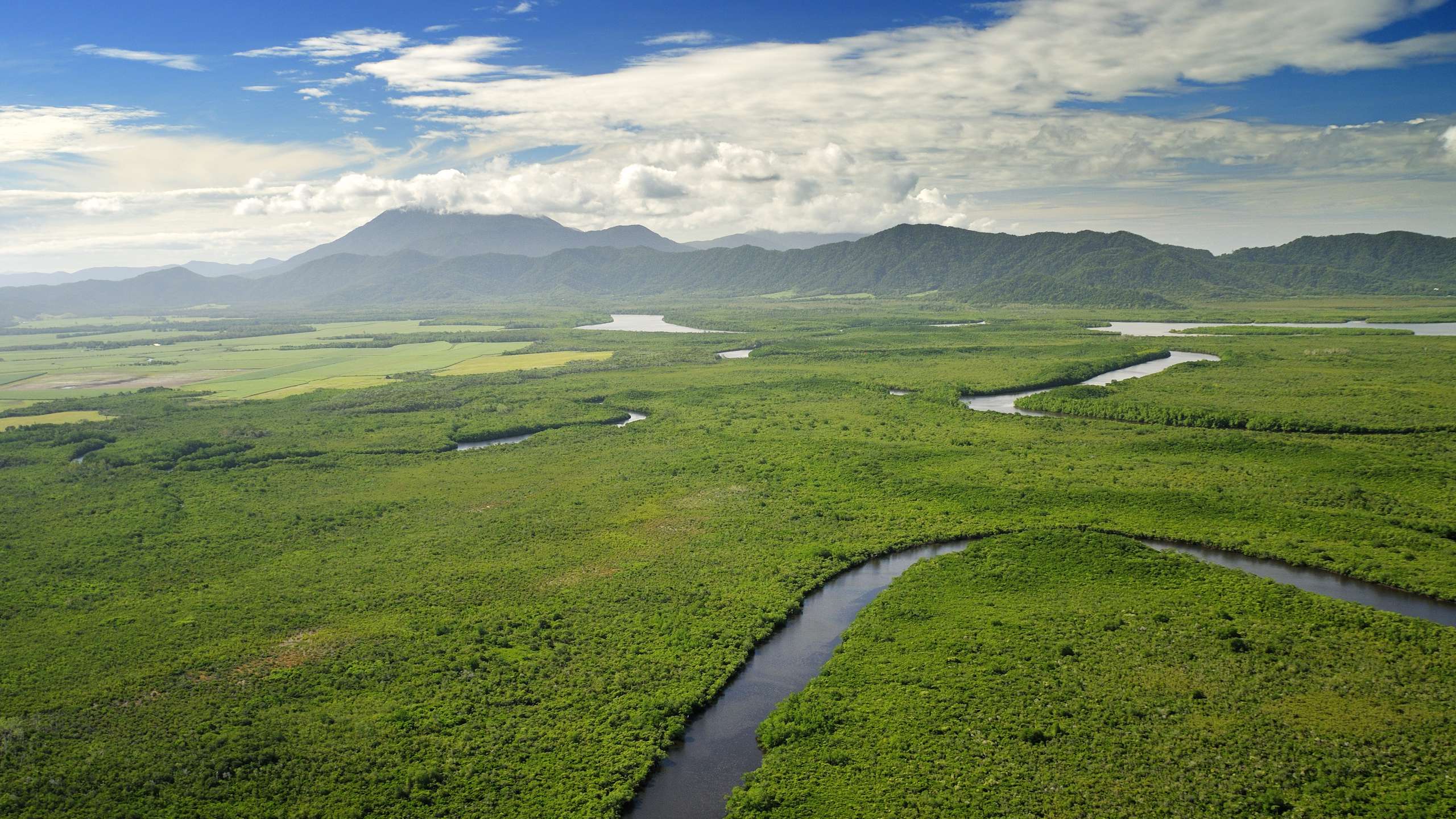 crocodile tours daintree