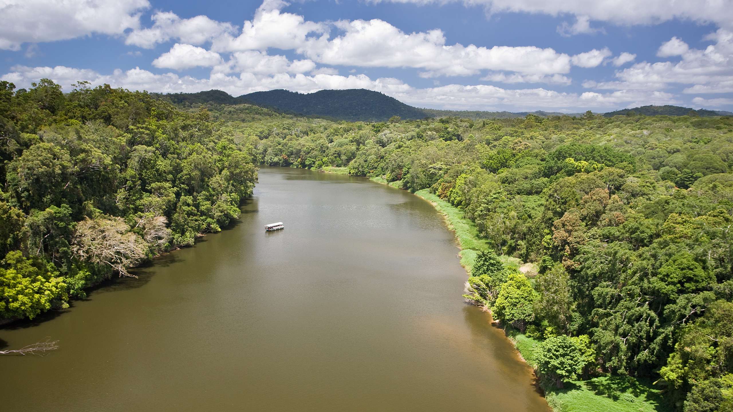 daintree things to do