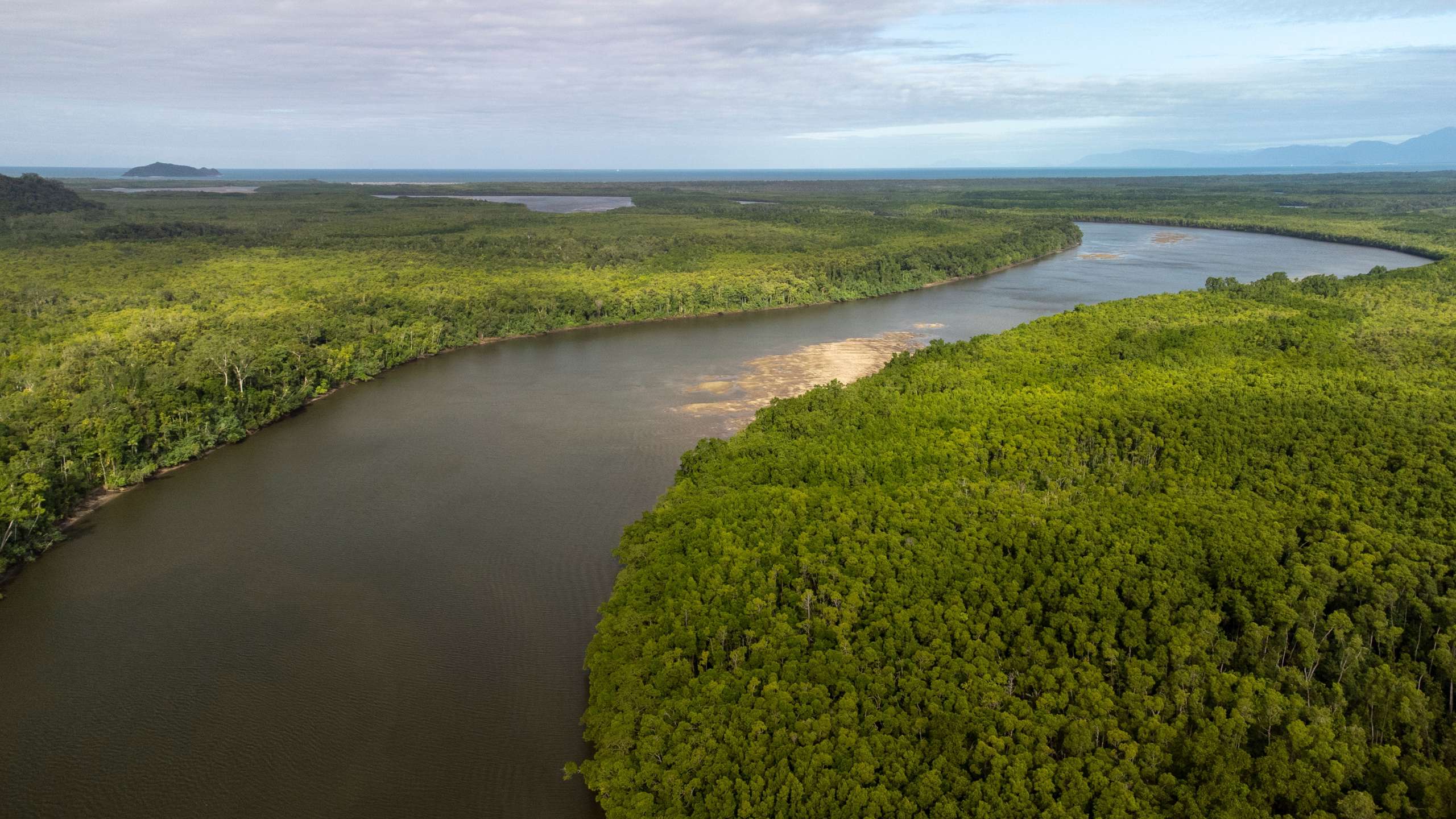 river tours daintree